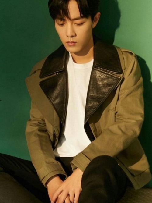 肖战感情爆料视频大全,揭秘视频大全背后的真相与争议